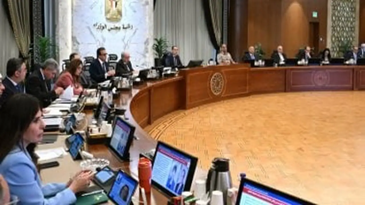 رئيس الوزراء يؤكد مساعي توطين مختلف الصناعات المحلية داخل الأراضي المصرية